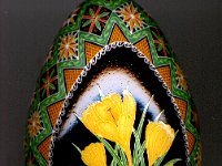 Yellow Crocus Ukrainian Easter Egg Pysanky By So Jeo : pysanky pysanka ukrainian easter egg batik art crocus yellow flower spring green ukraine sojeo